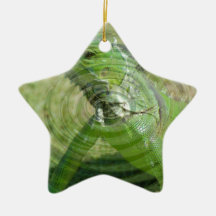 La Iguana Verde