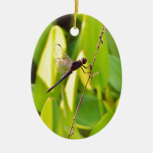 Adorno De Cerámica La libélula azul y la negra sobre la hierba.
