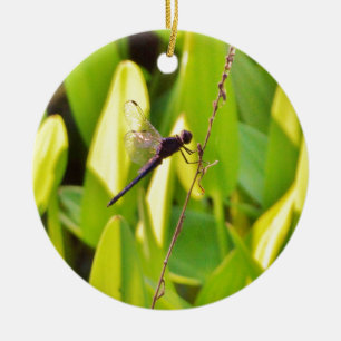 Adorno De Cerámica La libélula azul y la negra sobre la hierba.