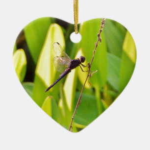 Adorno De Cerámica La libélula azul y la negra sobre la hierba.