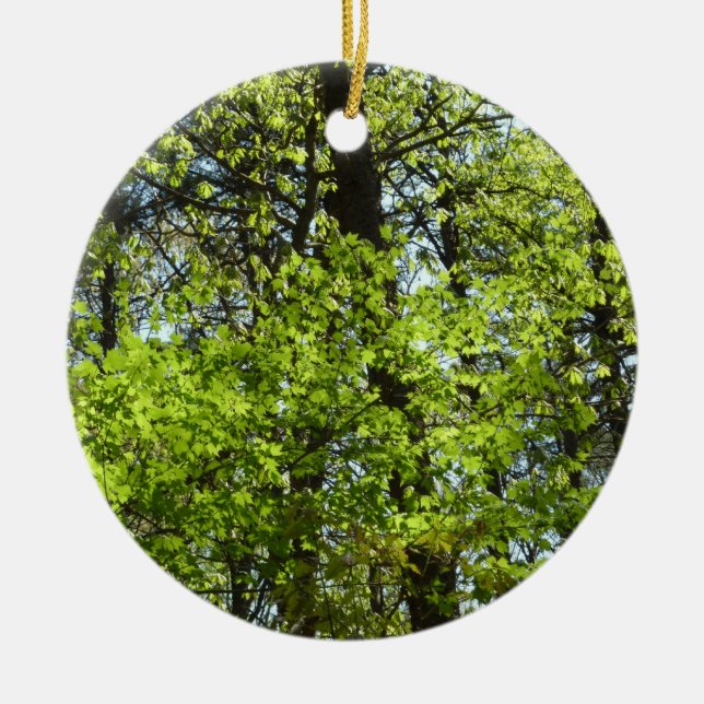 Adorno De Cerámica La naturaleza de las hojas de arce de primavera (Frente)