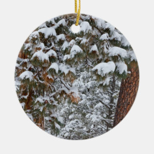 Adorno De Cerámica La nieve llena las ramas de los pinos ponderosa
