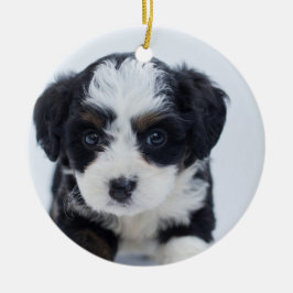 Adorno De Cerámica La primera Navidad de los Cachorros