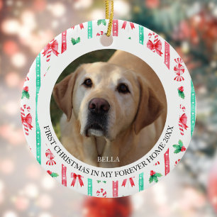Adorno De Cerámica La primera Navidad del perro en Forever Home 2 Pho