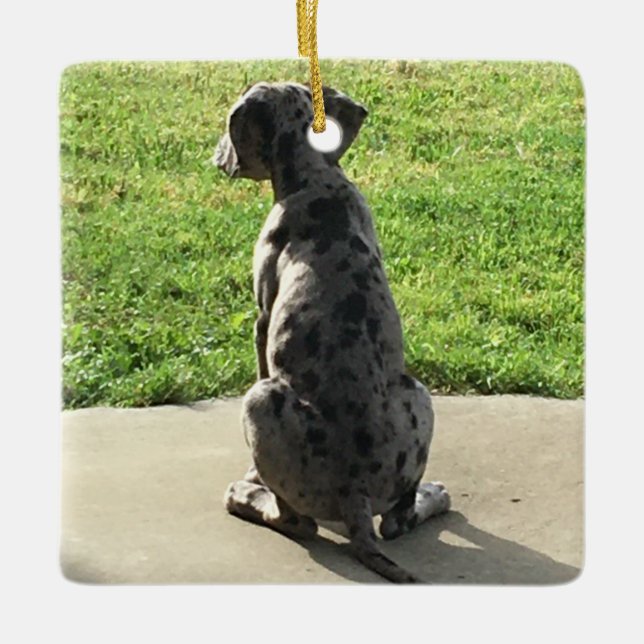 Adorno De Cerámica La primera X-Mas de Great Dane (Anverso)