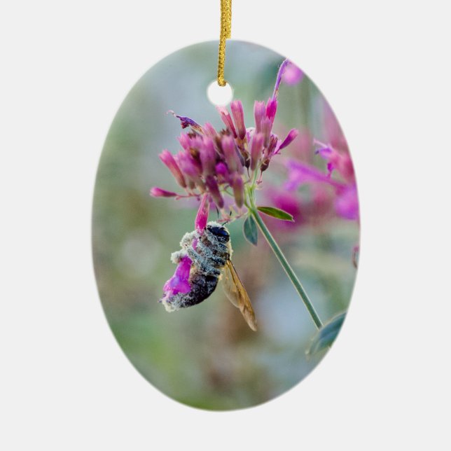 Adorno De Cerámica La solución del polen matutino de burbujas (Frente)