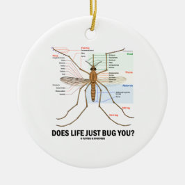 Adorno De Cerámica ¿La vida apenas le fastidia? (Anatomía del