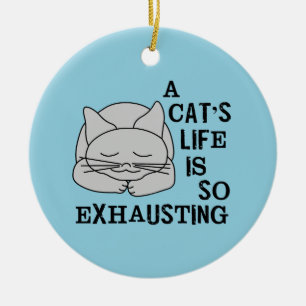 Adorno De Cerámica La vida de un gato