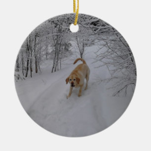 Adorno De Cerámica Laboratorio amarillo que juega en nieve fresca del