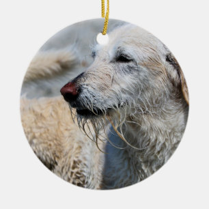 Adorno De Cerámica Labradoodle - Izzy