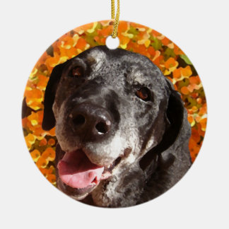 Adorno De Cerámica Labrador negro viejo