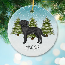 Labrador Retriever Negro Bosque Invernal Nombre Pe