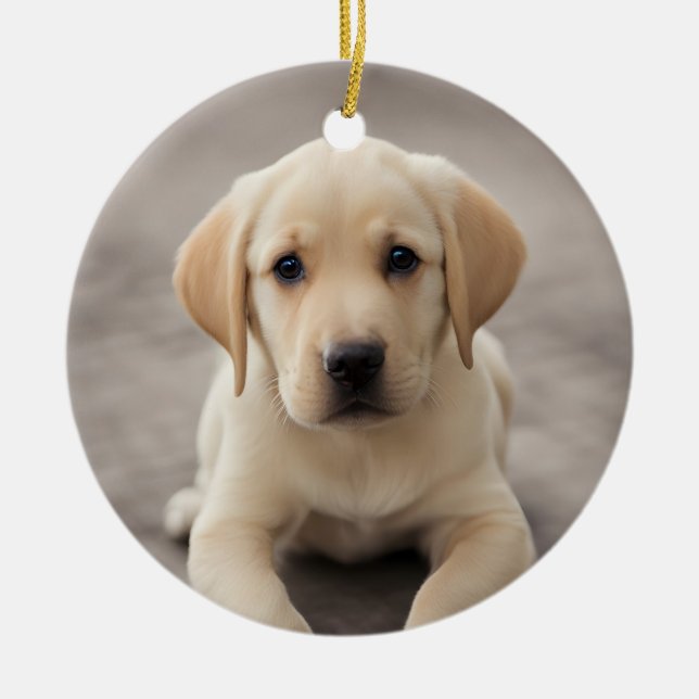Adorno De Cerámica Labrador Retriever Puppy (Frente)