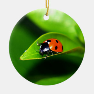 Adorno De Cerámica Ladybug