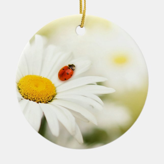 Adorno De Cerámica Ladybug y a Daisy (Frente)