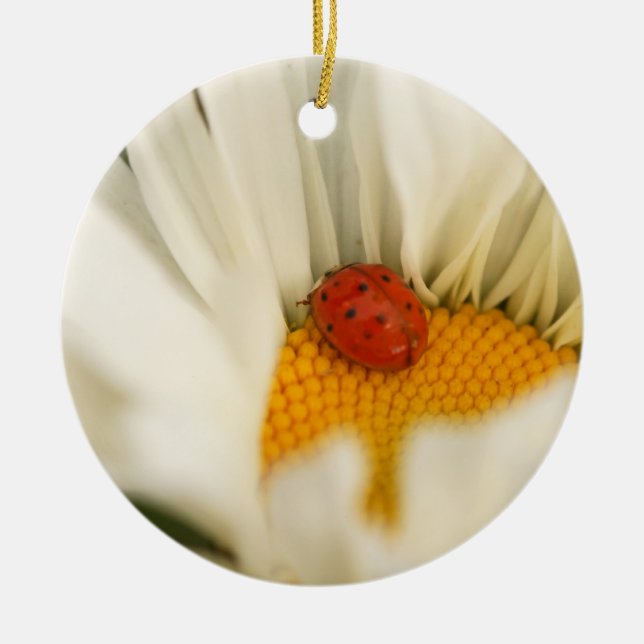 Adorno De Cerámica Ladybug y Daisy Ornament (Frente)