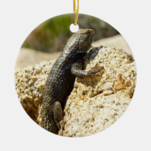 Adorno De Cerámica Lagarto Espinoso de Dorso Amarillo en Joshua Tree