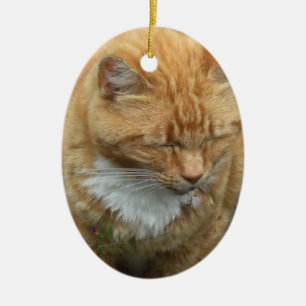 Adorno De Cerámica Lagarto, gato de tigre anaranjado