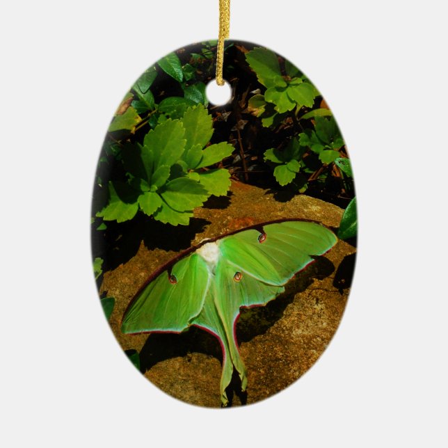 Adorno De Cerámica Lágrima luna verde gigante (Frente)