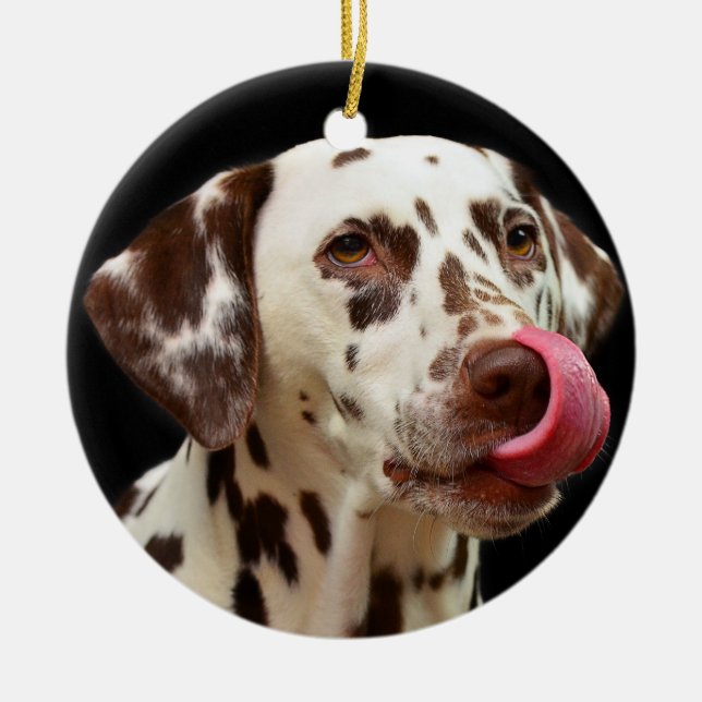 Adorno De Cerámica Lamedura dálmata del perro (Frente)