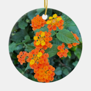 Adorno De Cerámica Lantana