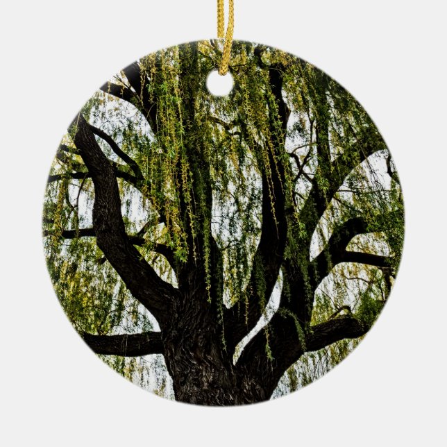 Adorno De Cerámica las esperanzas de primavera apagadas (Frente)