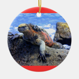Adorno De Cerámica Las Islas Galápagos