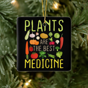Adorno De Cerámica Las Plantas Son La Mejor Medicina Guay Vegetariana