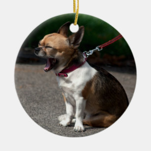 Adorno De Cerámica Laughing Chihuahua