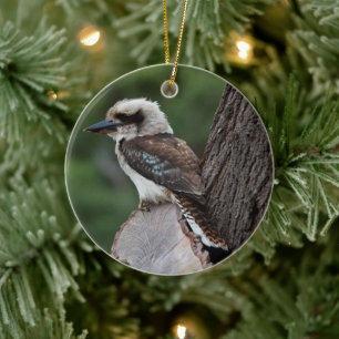 Adorno De Cerámica Laughing Kookaburra Bird Animal Tree