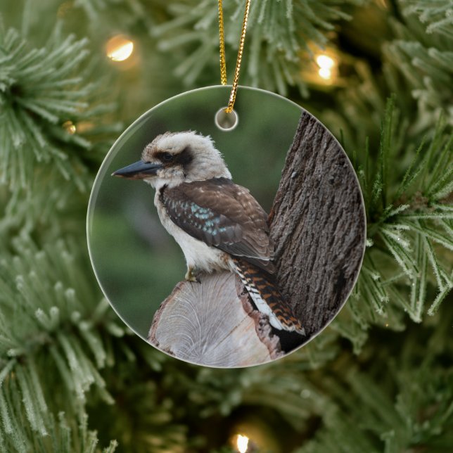 Adorno De Cerámica Laughing Kookaburra Bird Animal Tree (Árbol)