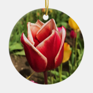 Adorno De Cerámica Leen Van Der Mark Tulip, Oregon