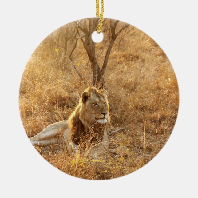 Adorno De Cerámica León (Frente)