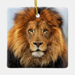 Adorno De Cerámica León africano 1