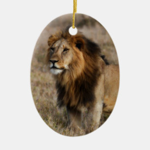 Adorno De Cerámica León africano en hierba