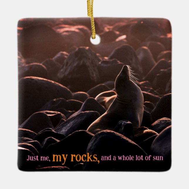 Adorno De Cerámica León marino (Anverso)