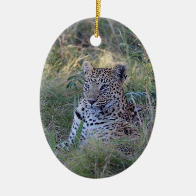 ADORNO DE CERÁMICA LEOPARD (Frente)