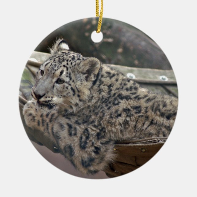 Adorno De Cerámica Leopardo de la nieve (Frente)