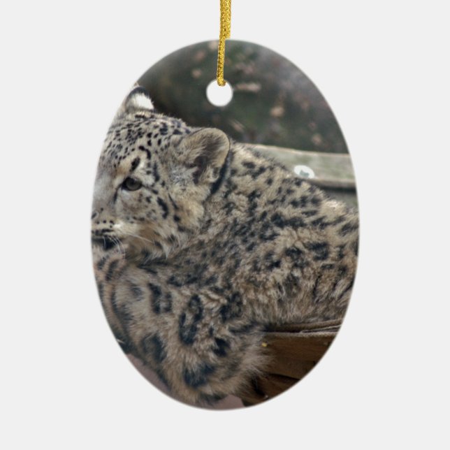 Adorno De Cerámica Leopardo de la nieve (Frente)