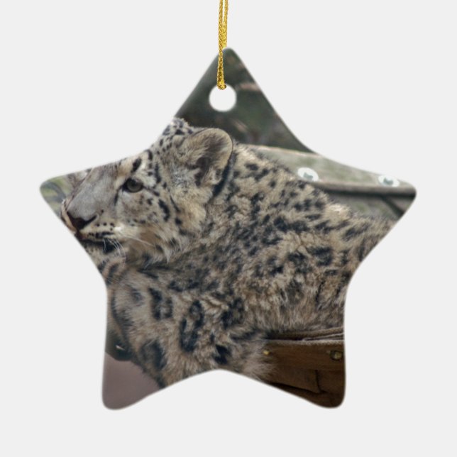 Adorno De Cerámica Leopardo de la nieve (Frente)