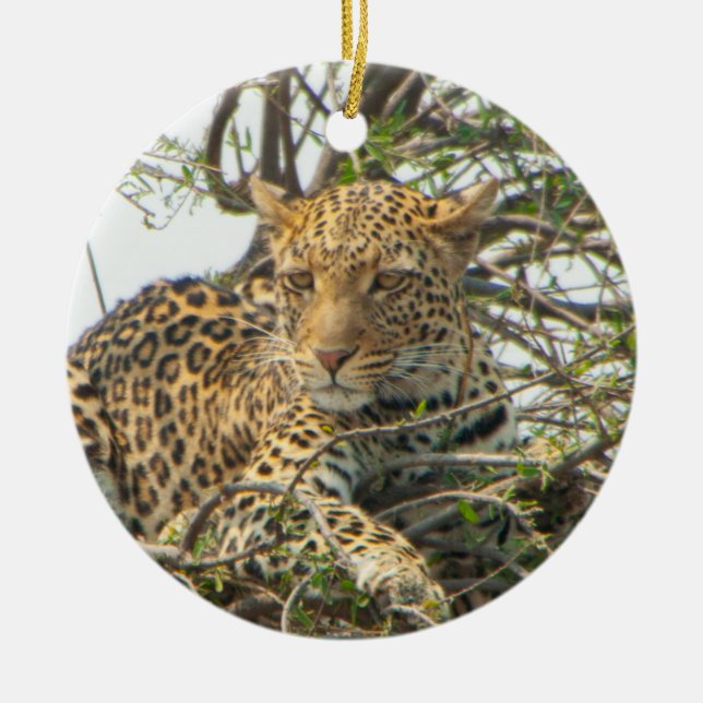 Adorno De Cerámica Leopardo en el árbol (Frente)