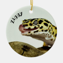 Leopardo Gecko Lizard personalizado