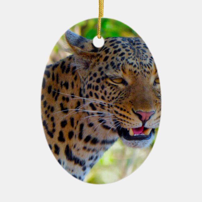 Adorno De Cerámica Leopardo localizado (Frente)