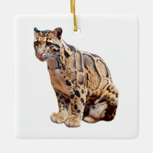 Adorno De Cerámica leopardo nublado fotografía selva gran gato animal
