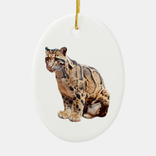 Adorno De Cerámica leopardo nublado fotografía selva gran gato animal