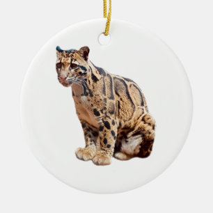 Adorno De Cerámica leopardo nublado fotografía selva gran gato animal