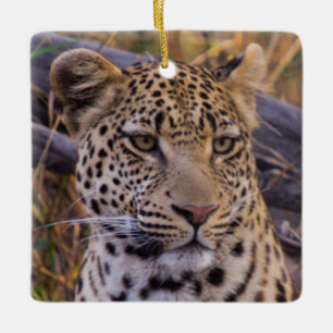 Adorno De Cerámica Leopardo sentado, Botsuana, África