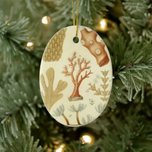 Adorno De Cerámica Libro de texto de ciencias biología, Animales de c