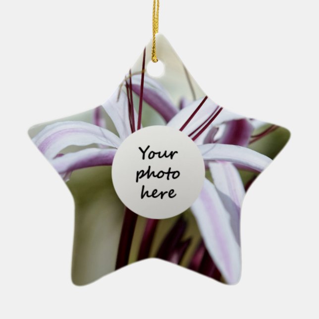 Adorno De Cerámica Lily Ornaments (Frente)