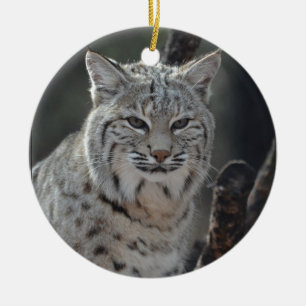 Adorno De Cerámica Lince del arrastramiento